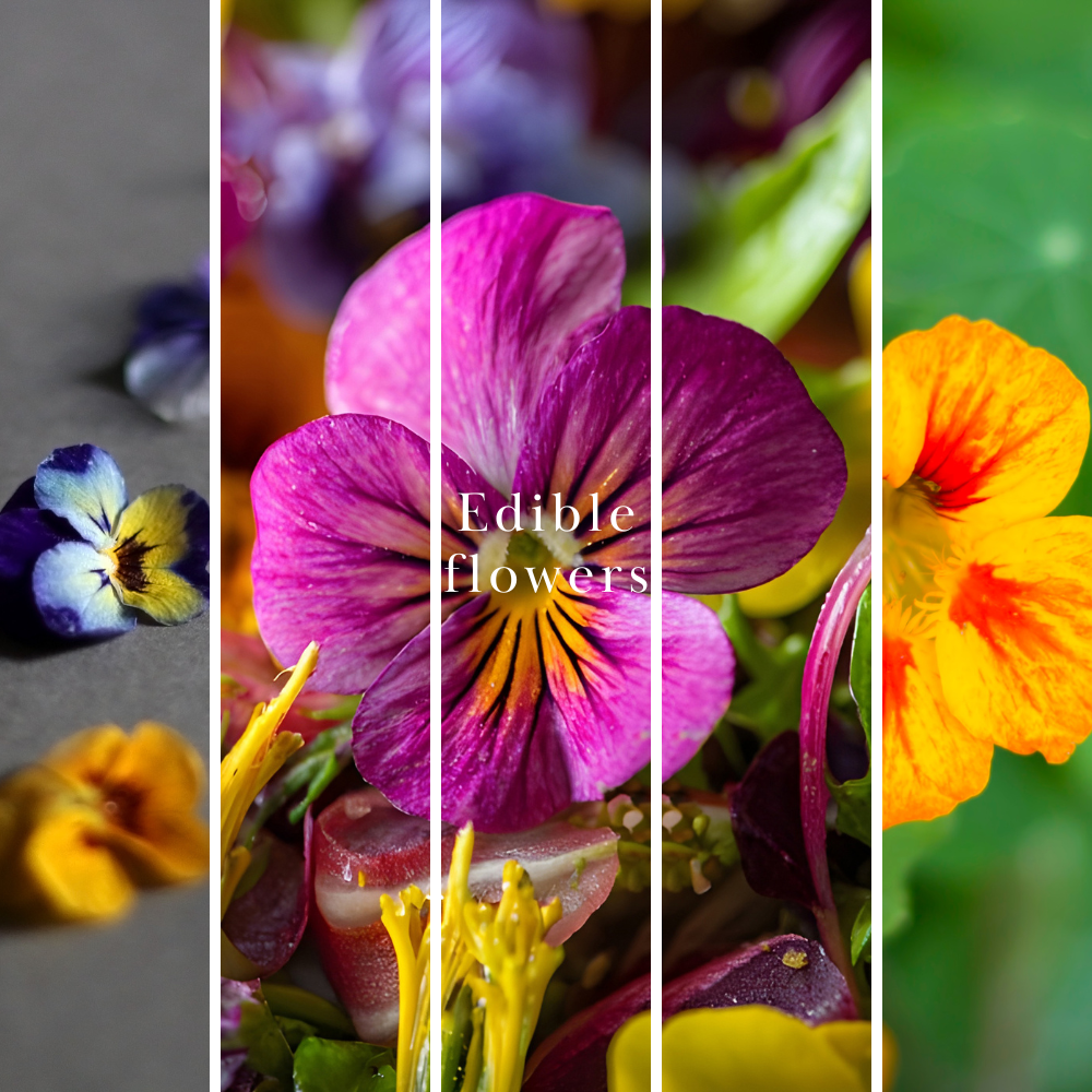 A vertical four-panel collage showcasing edible flowers. The center panel features a close-up of a magenta-purple pansy with yellow accents and the text 'Edible flowers' overlaid.