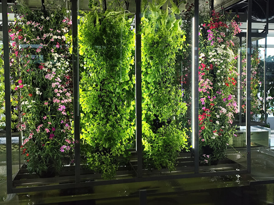 Indoor vertical aquaponics lab, Takanawa, Tokyo, Japan