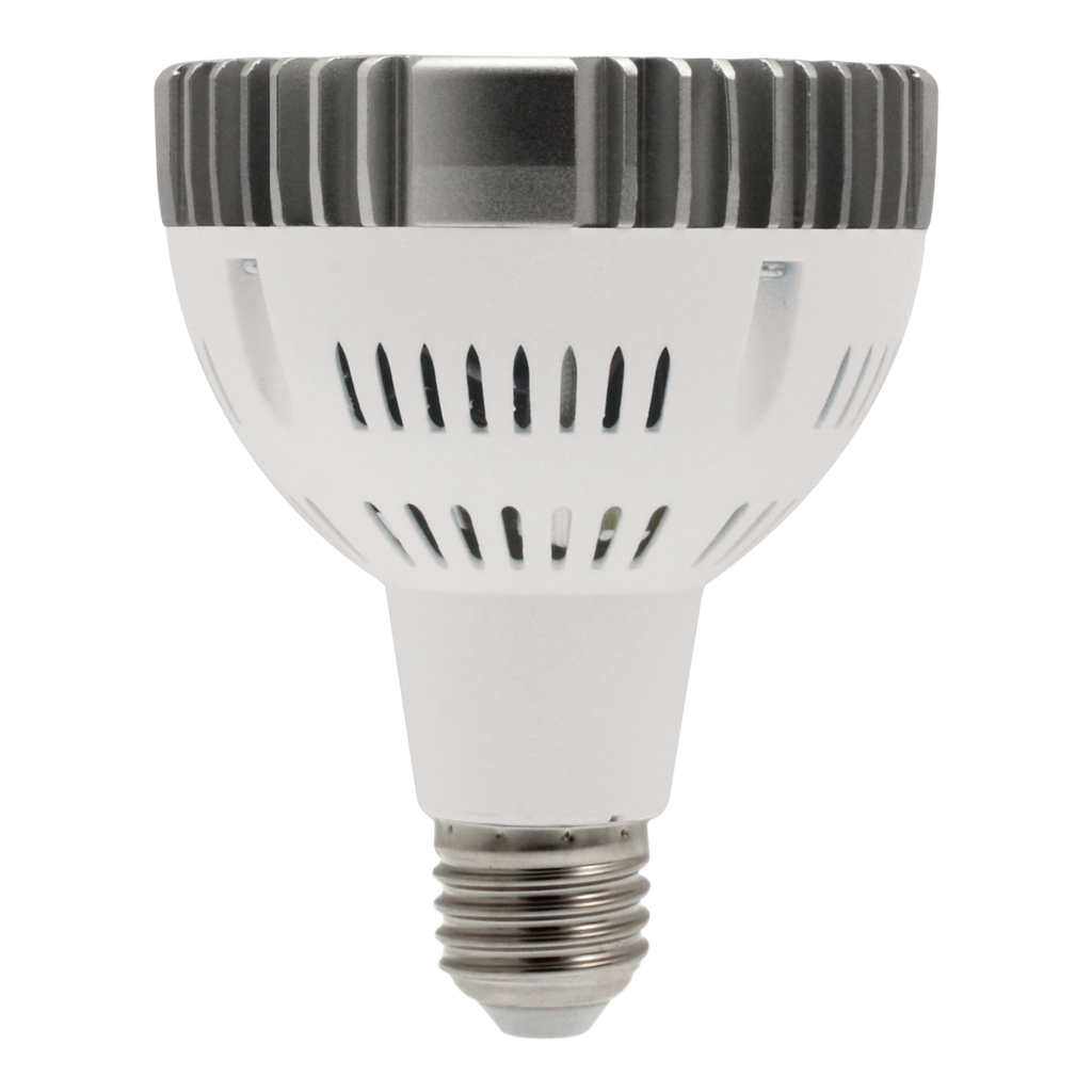 New Dawn LED Flood- 6500K