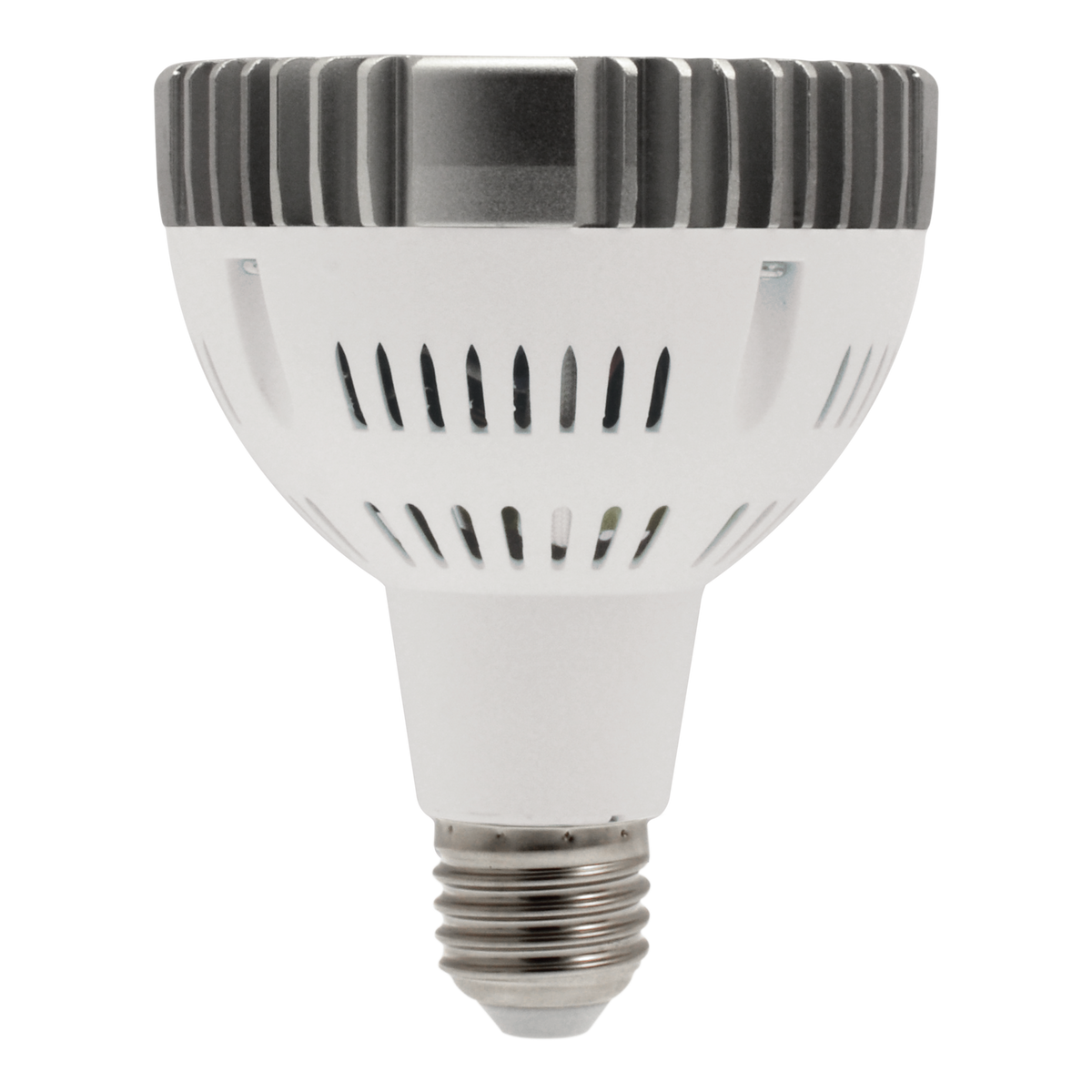 New Dawn LED Flood- 6500K