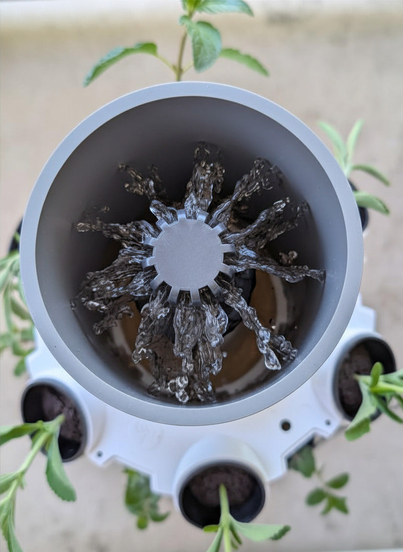 Top-down view of a white and gray drip irrigation system with water flowing through a central spout, surrounded by small green plants in pots.