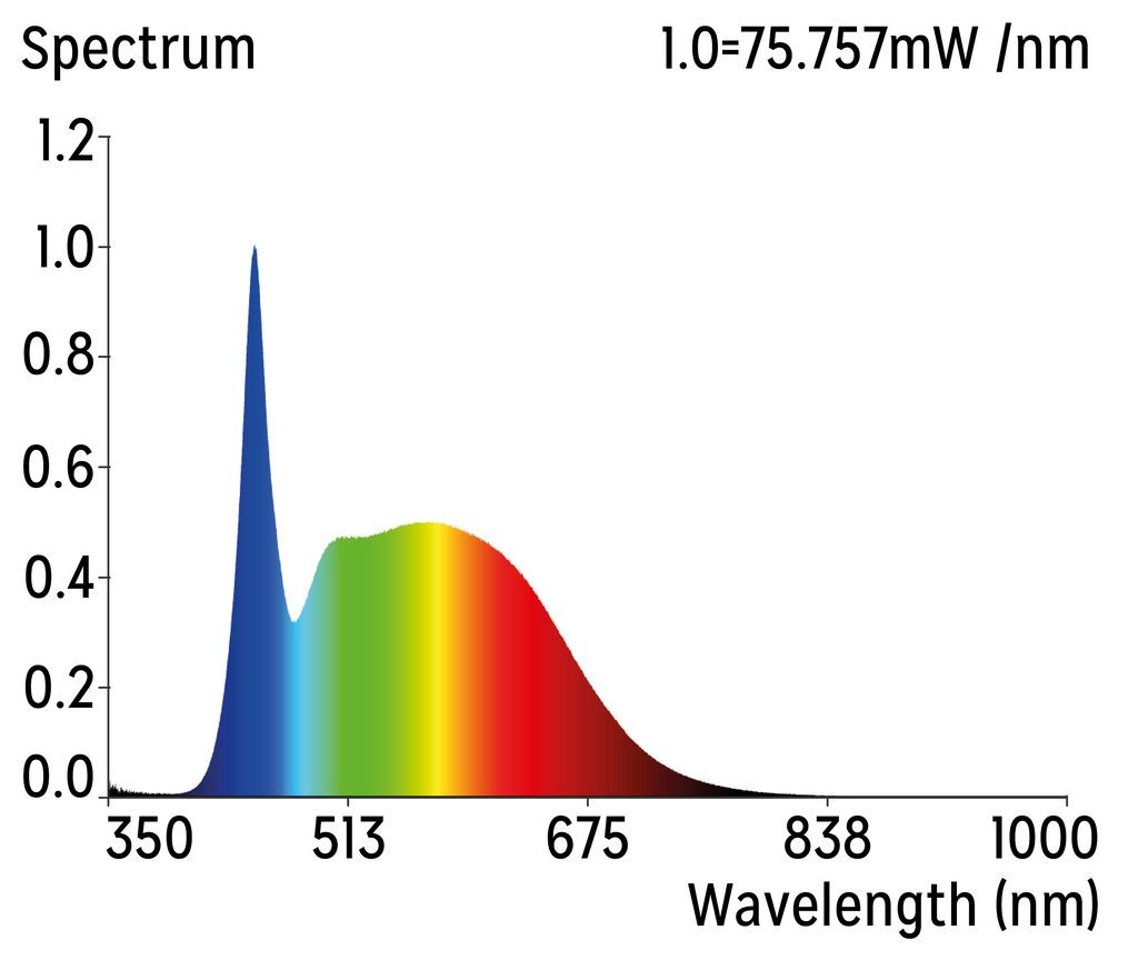 New Dawn LED Flood- 6500K
