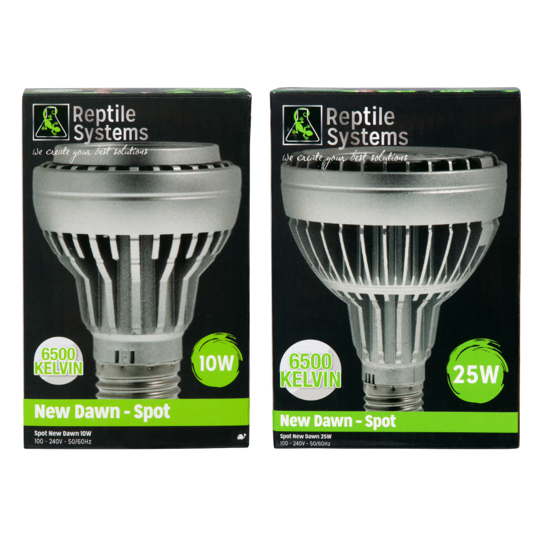 New Dawn LED Spot- 6500K
